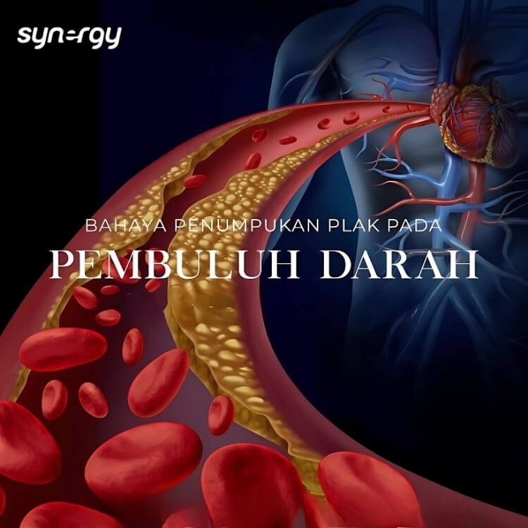 Penjelasan Proargi 9+ bagian 7